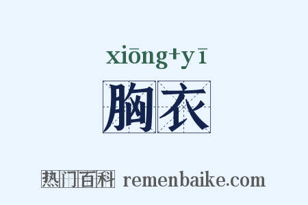 胸衣是什么意思的图片